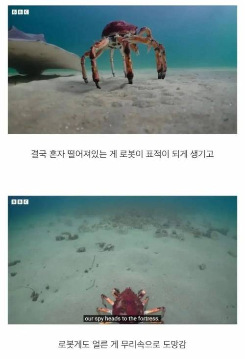 지들끼리 감싸주려고 난리난 