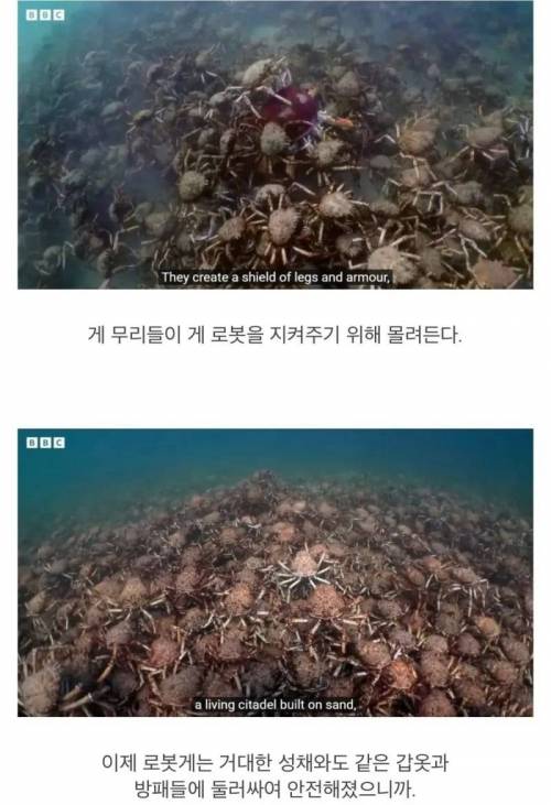 지들끼리 감싸주려고 난리난 