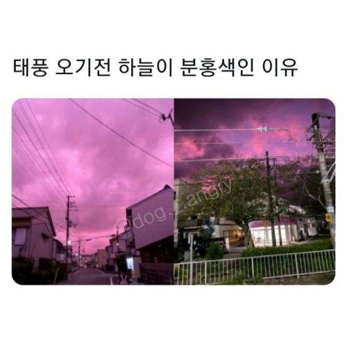 태풍 직전 하늘색은 왜 핑쿠핑쿠하지?