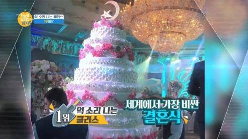 세계에서 가장 돈이 많이 들어간 결혼식.jpg