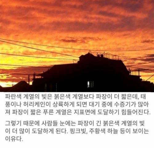 태풍 직전 하늘색은 왜 핑쿠핑쿠하지?