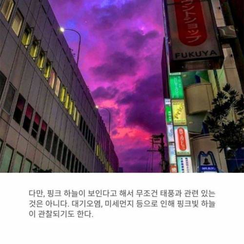 태풍 직전 하늘색은 왜 핑쿠핑쿠하지?