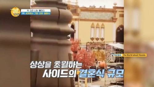 세계에서 가장 돈이 많이 들어간 결혼식.jpg
