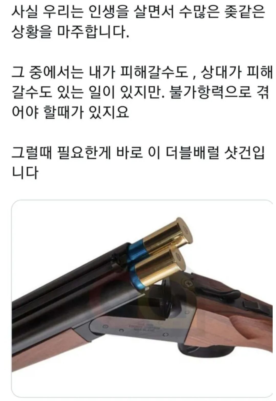 괴롭힘이 없었다는 미국 교포 학생