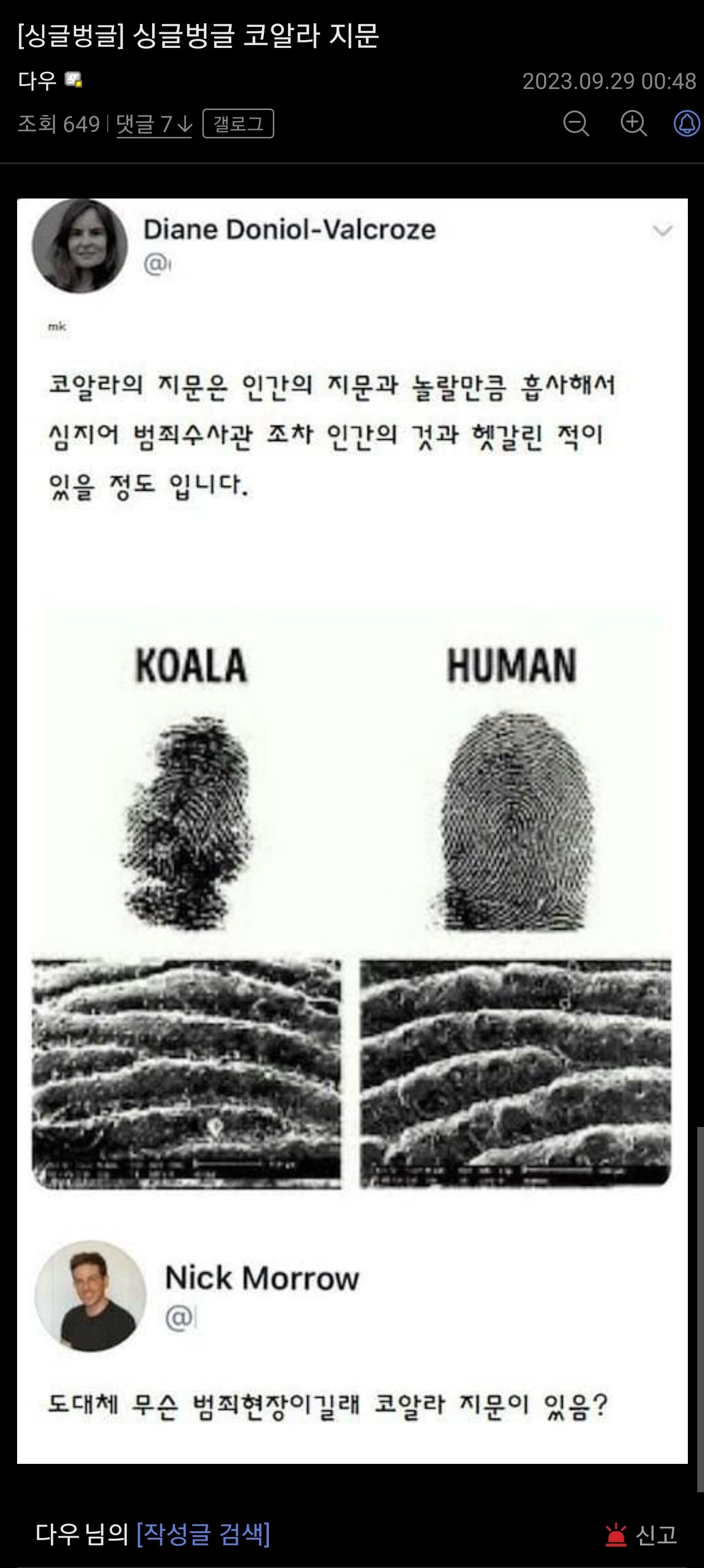 대박 완죤 신기한 코알라 지문!!!!!
