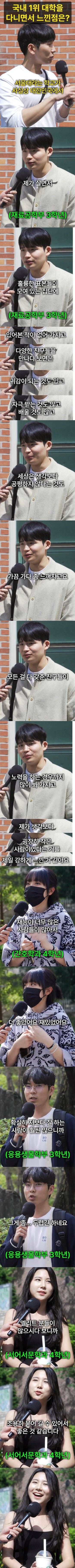 국내 최고 대학 다니면서 느낀점