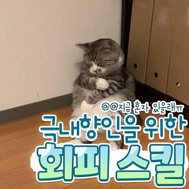 극내향인을 위한 회피 스킬.jpg