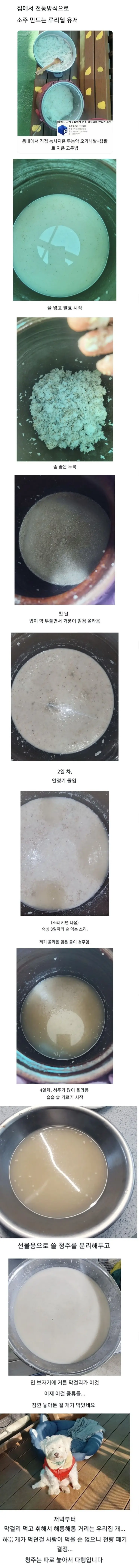 전통주 대참사.jpg