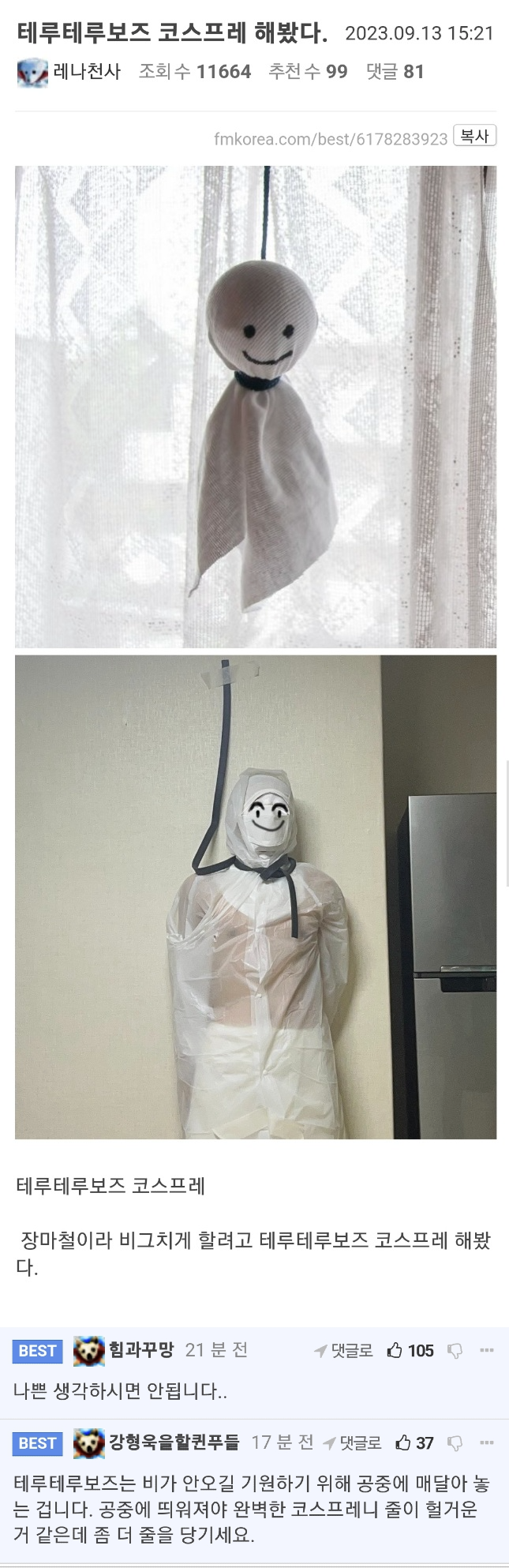 비 그치라고 코스프레 해본 펨코인...