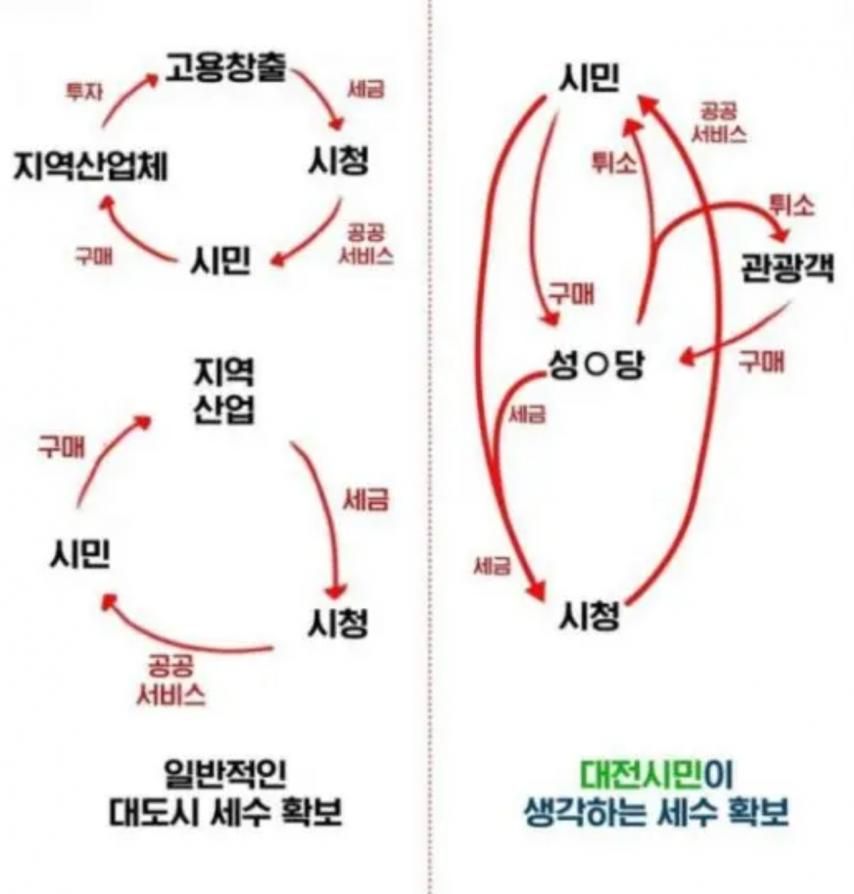 대전 시민이 생각하는 세수 확보.jpg