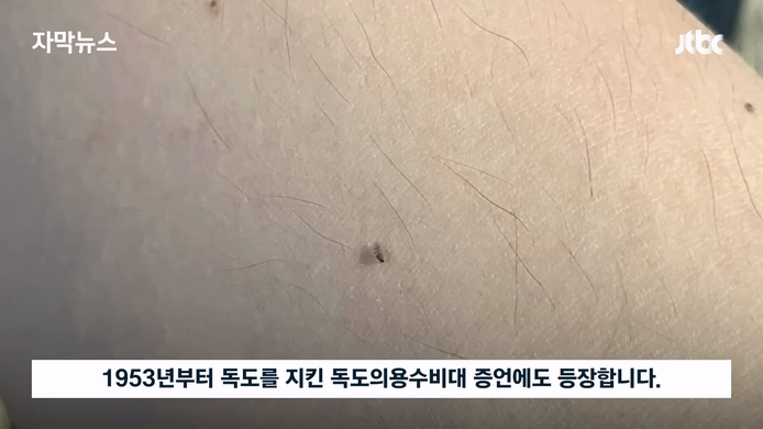 벌레혐) 독도 모기가 피를 빠는 방법