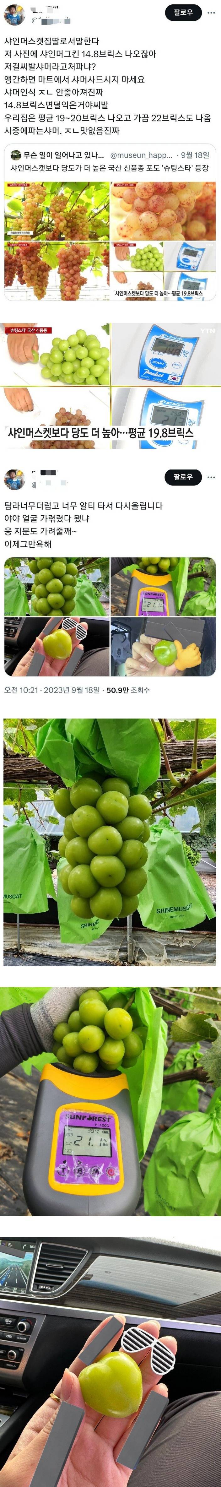 신품종 뉴스에 빡친 샤인머스캣집 딸