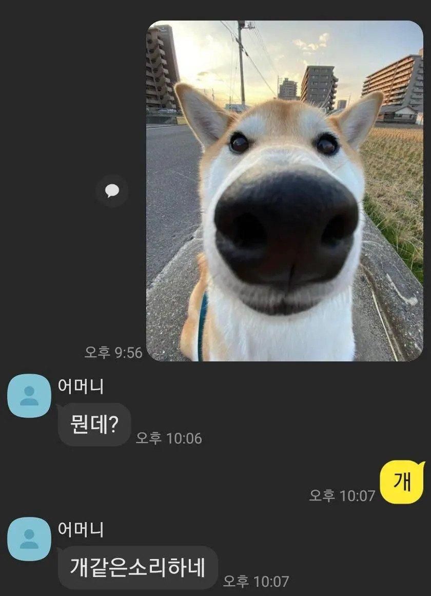어머니와의 카톡