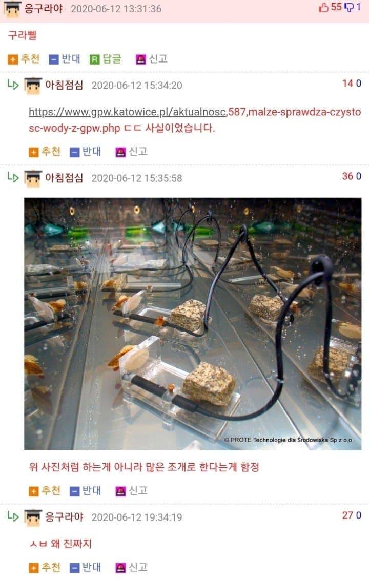 폴란드식 수질관리법