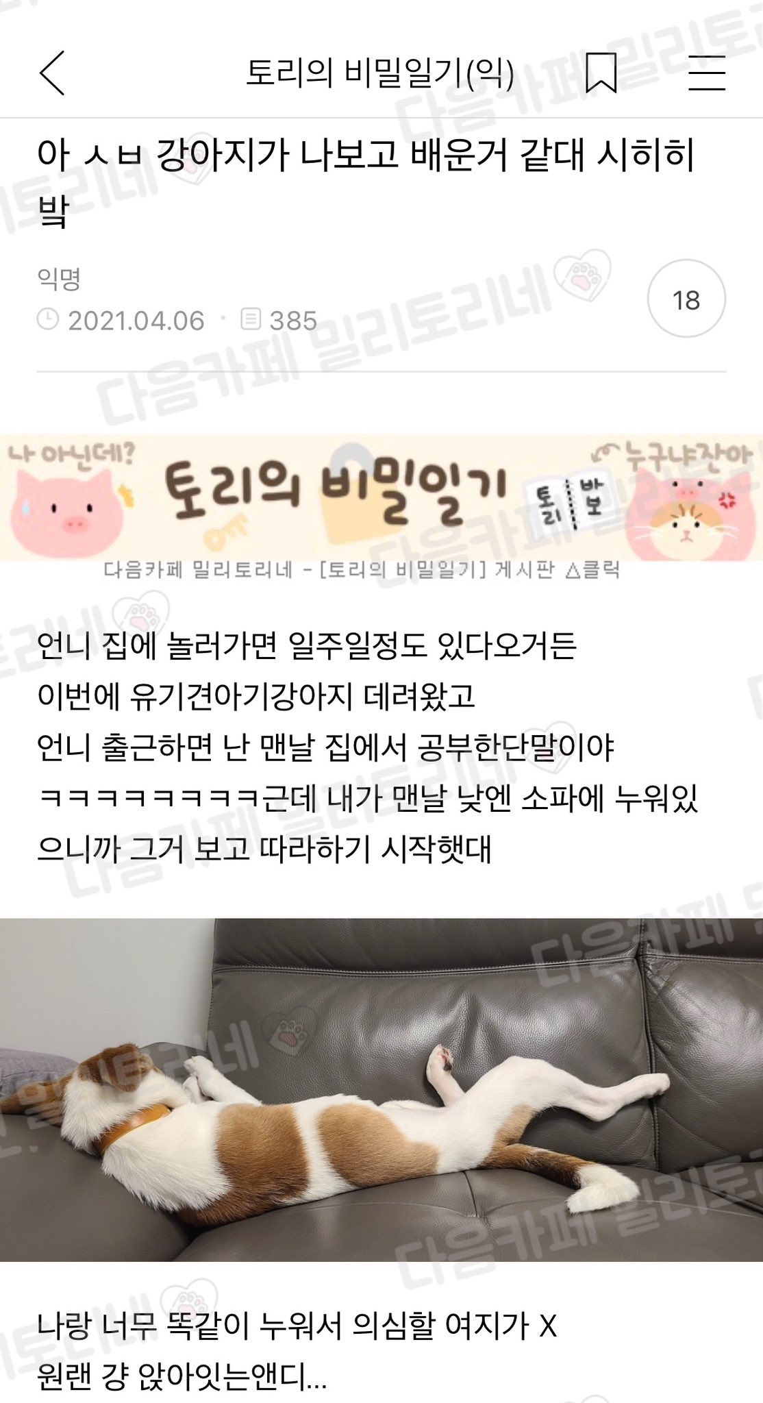 ㅅㅂ 강아지가 나보고 배운거 같대.jpg