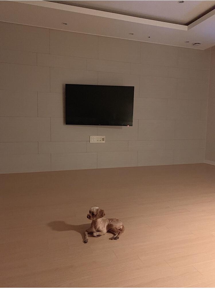 고요하고 평화로운 미니멀 카페