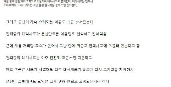 혐주의) 문신이 지워지지 않는 이유