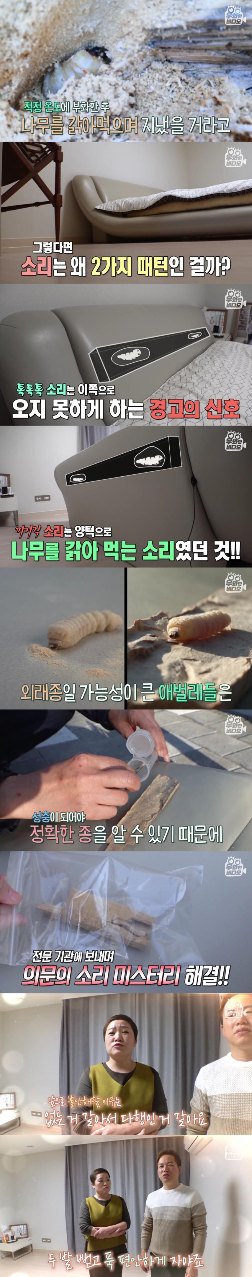 침대에서 이상한 소리가나서 침대를 분해했는데요.jpg