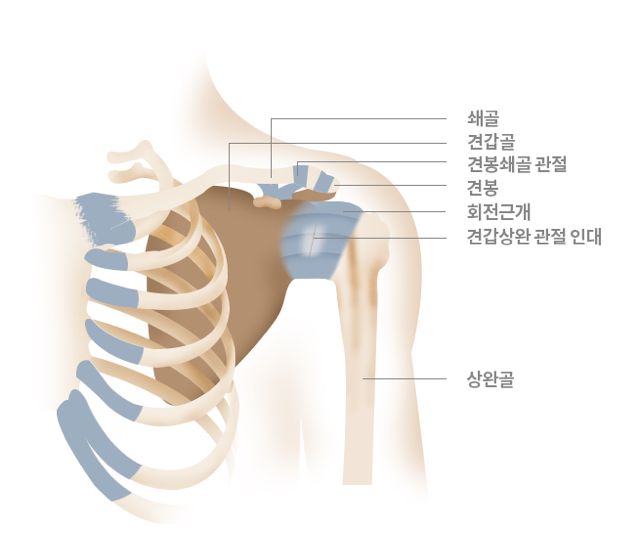 뼈 인대등 다쳐본 사람은 공감하는것.jpg