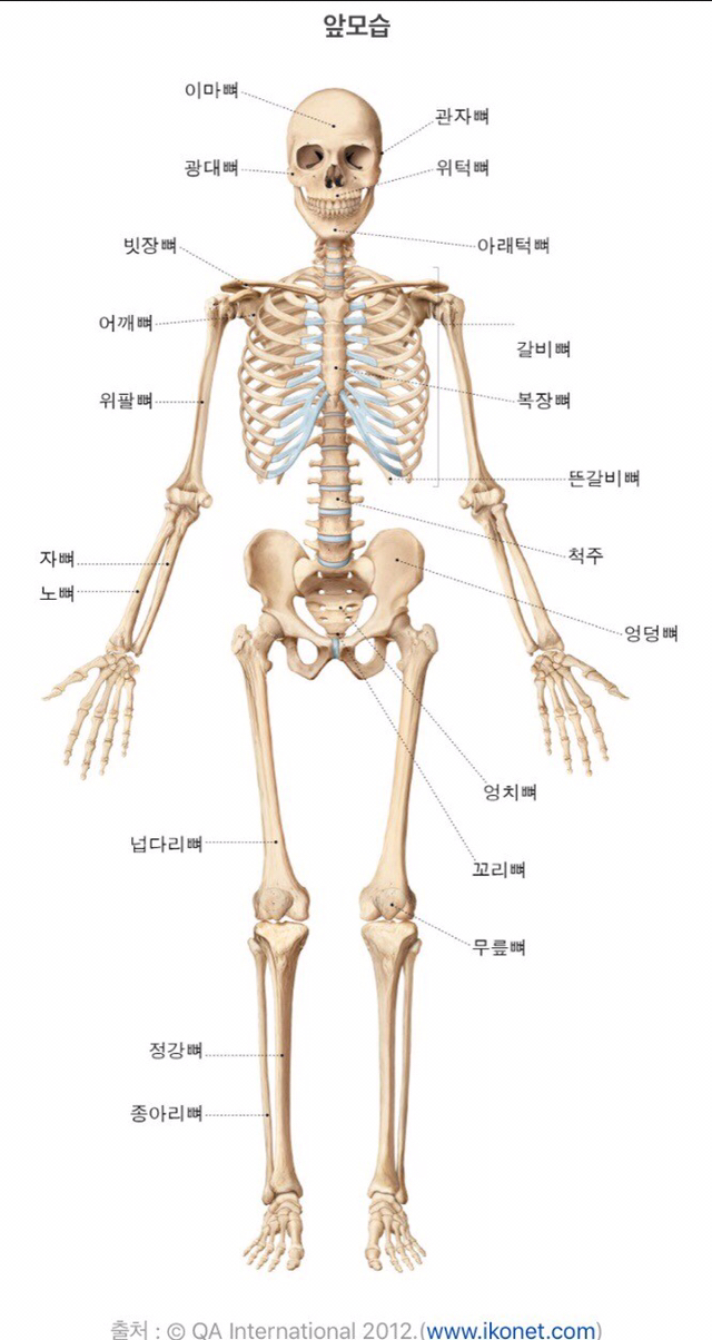 뼈 인대등 다쳐본 사람은 공감하는것.jpg