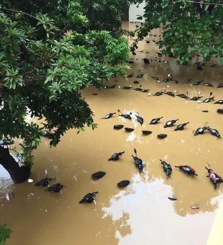 비둘기 아님.jpg