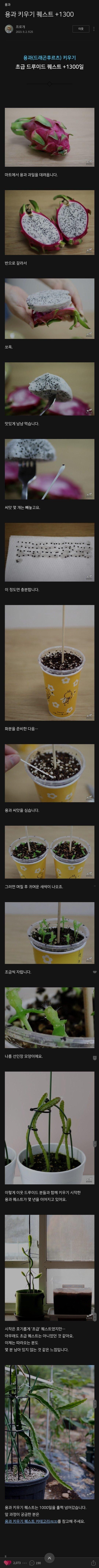 1300일만에 용과 꽃 피운 드루이드 ㄷㄷ