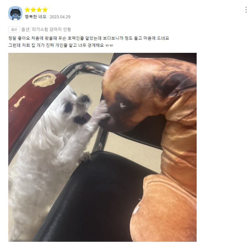 의기소침 강아지 인형 후기.jpg