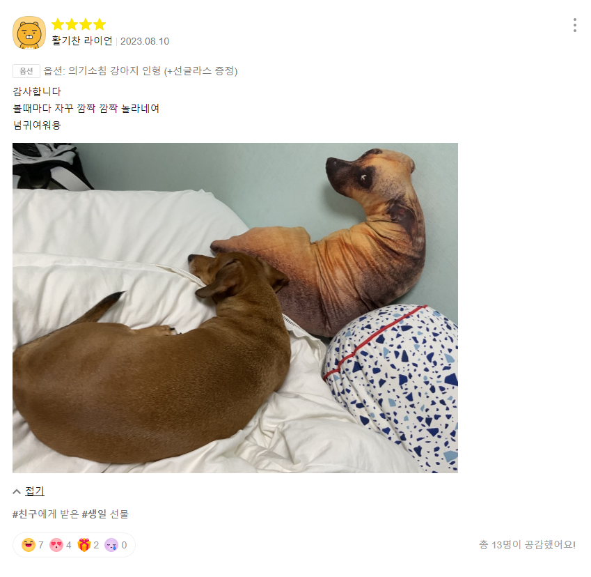 의기소침 강아지 인형 후기.jpg