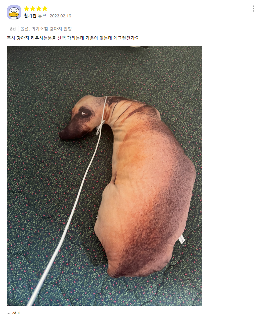 의기소침 강아지 인형 후기.jpg