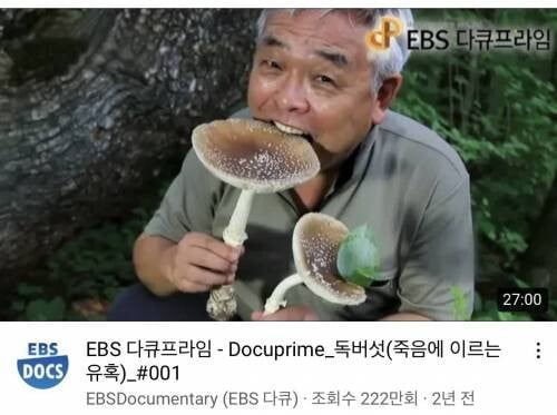 거부할수 없는 썸네일을 보여주는 EBS