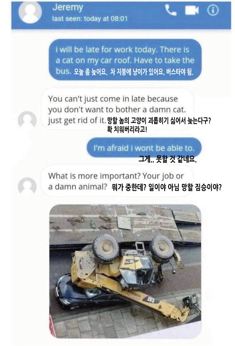 차 지붕에 고양이가 있어서 늦어요.jpg