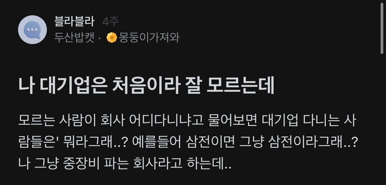 대기업 다니면 직업 뭐라고 말함?