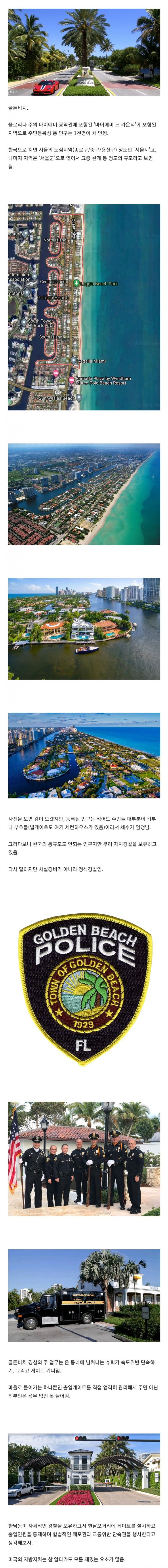 미국식 지방자치
