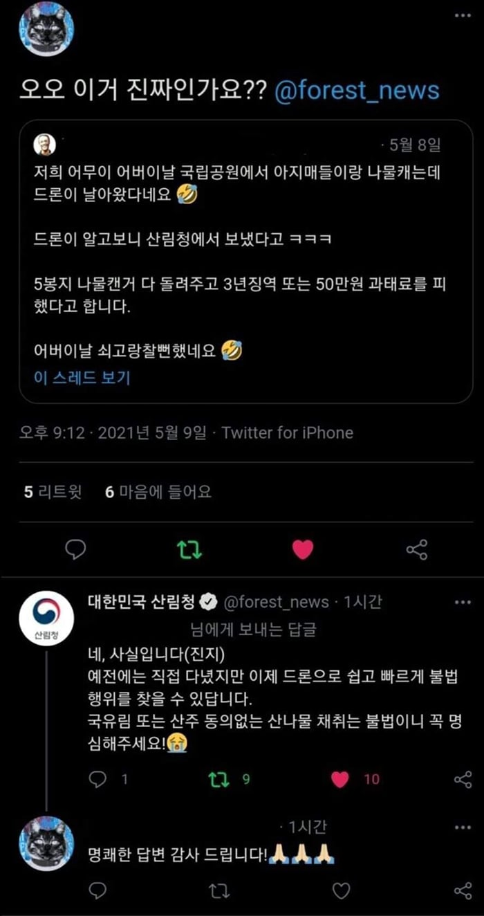 공원에서 나물 캐는데 드론이 날아옴