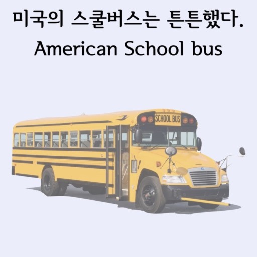 미국 스쿨버스에 검은줄 세개 있는 이유