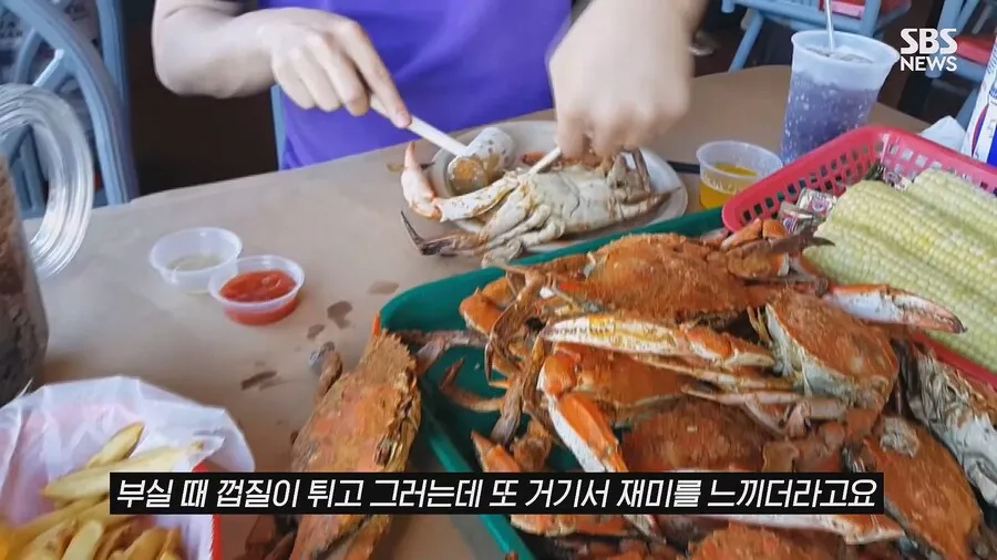 한국, 이탈리아 푸른꽃게 수입에 갑작스런 라이벌 등장