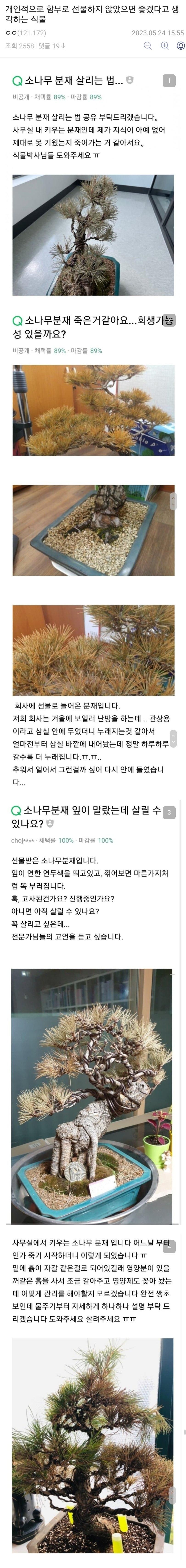 의외로 선물용으론 꽤나 부적합한 식물