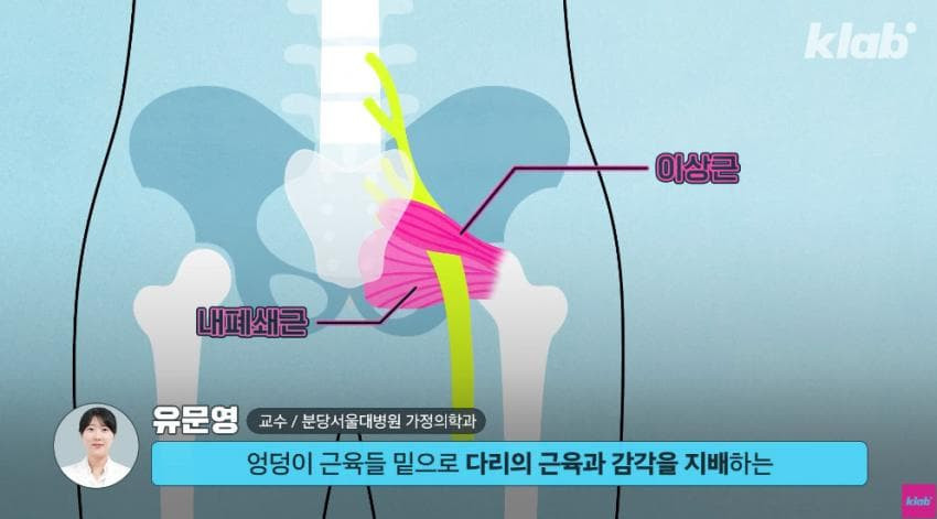 외국에서는 안 맞는다는 엉덩이 주사