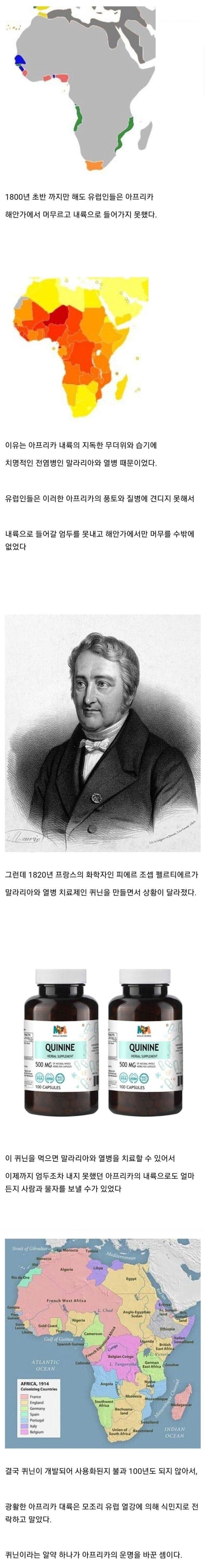 아프리카인들을 가장 많이 죽인 약.
