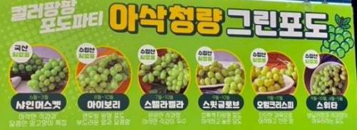 포도 종류 정리