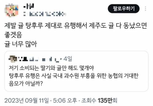 탕후루 유행을 기원하는 제주도민들