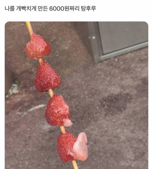 				놀이공원 탕후루 퀄리티