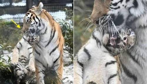 초보 엄마