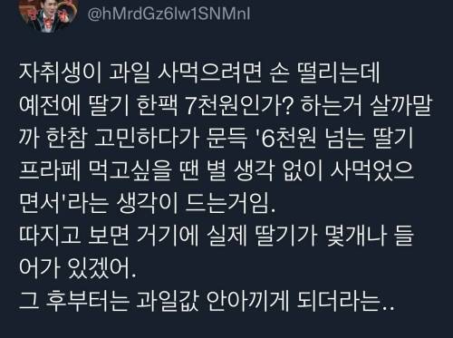 				엄청난 인생명언 봤다 과일 비싸다고 안 사먹으면 나중에.twt
