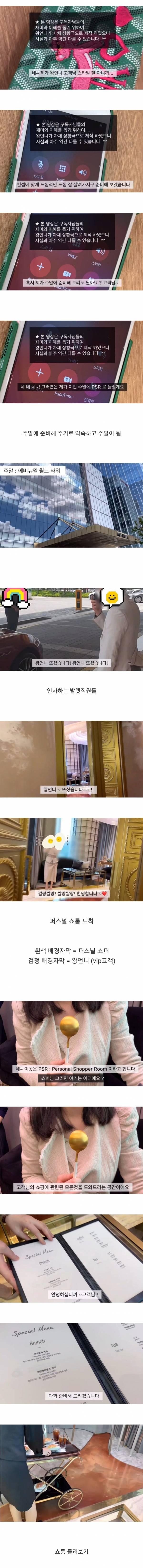 상위 1% 백화점 Vip 유투버의 퍼스널쇼핑.jpg