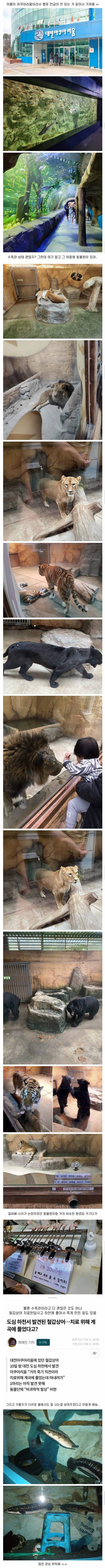 심각한 대전 아쿠아리움 상황