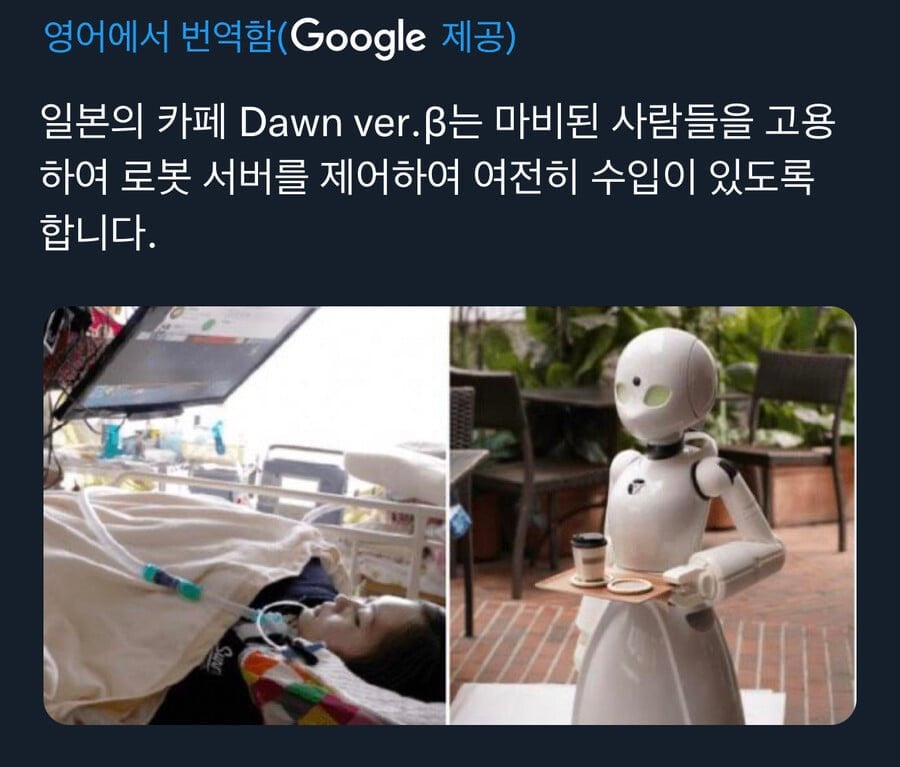 일본의 마비 환자들이 운영하는 카페