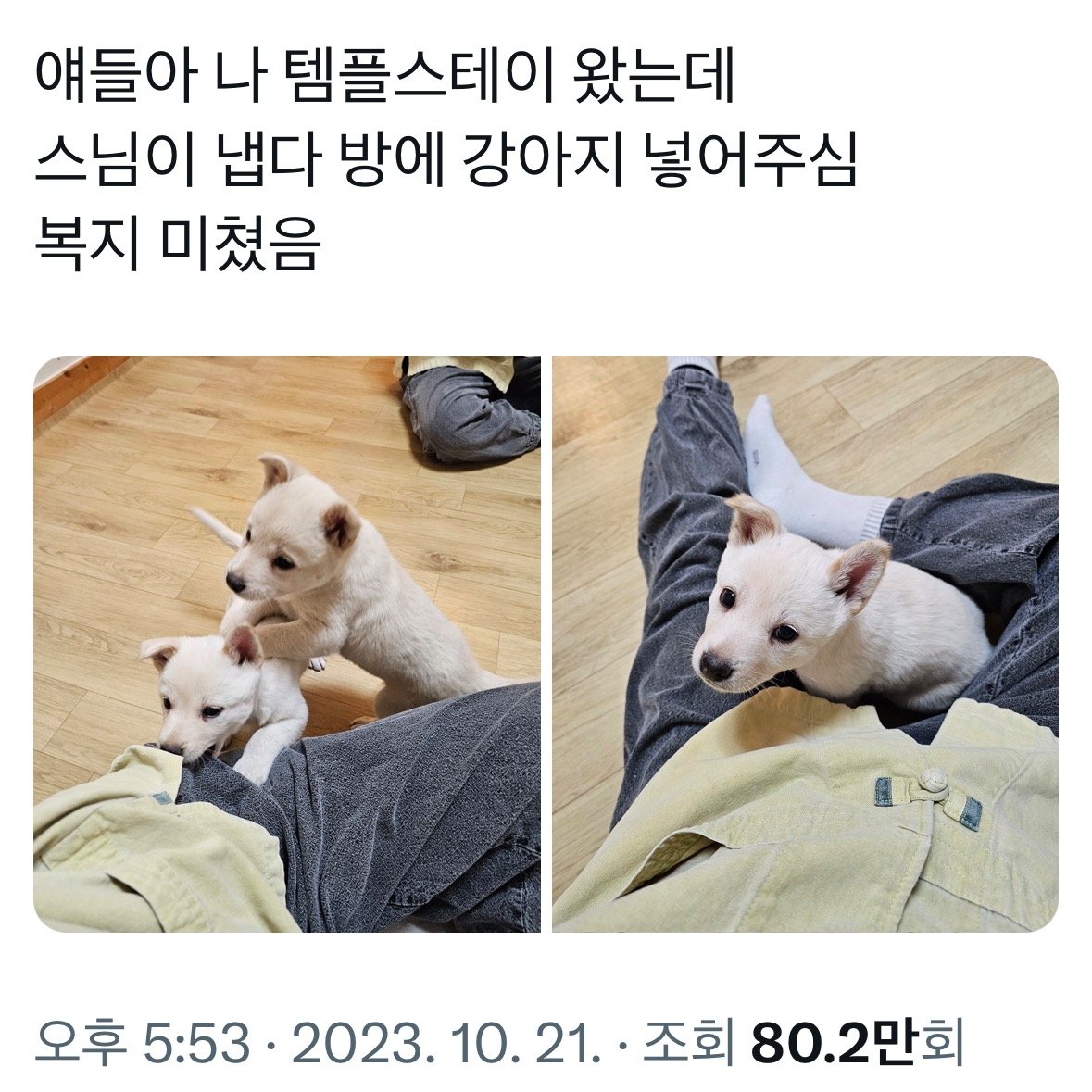 어느 템플스테이의 복지수준 ㄷㄷㄷ