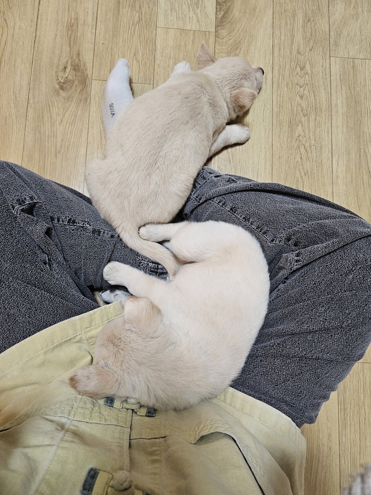 어느 템플스테이의 복지수준 ㄷㄷㄷ