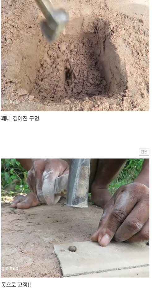어느 새잡이 유튜버의 비둘기 트랩